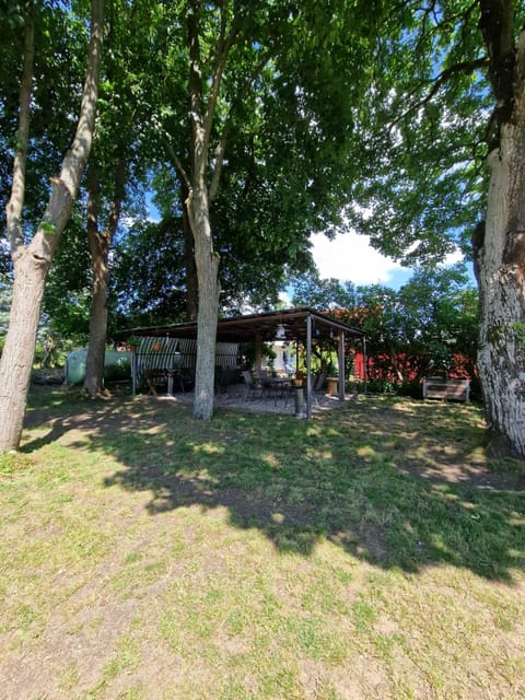 Ferienhof am Käbelicksee Apartment in Mecklenburgische Seenplatte