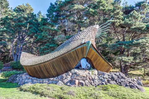 Wild Meadow House in Sonoma County