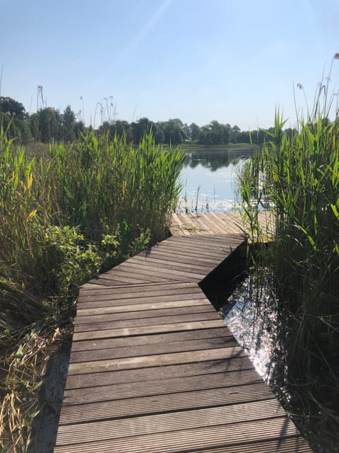 Lake view, Sports
