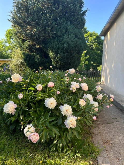 Studio indépendant Lisieux Apartment in Lisieux