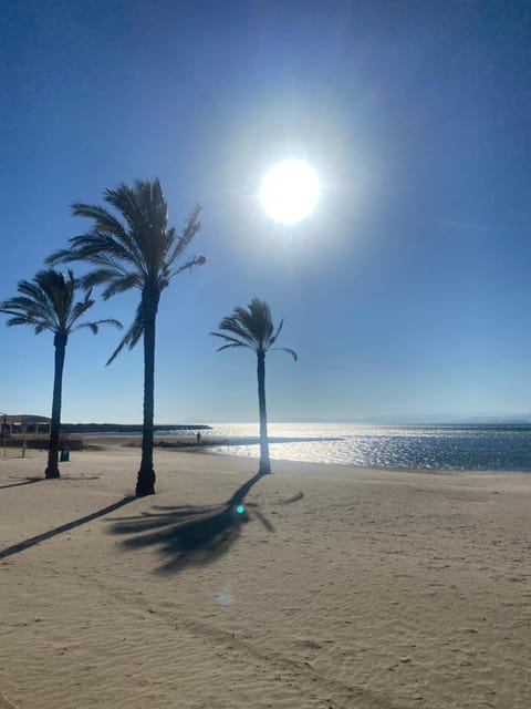 Nearby landmark, Day, Beach