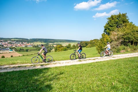 Cycling, Area and facilities