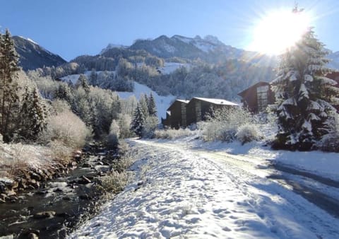 Natural landscape, Winter