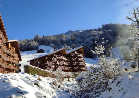 Property building, Winter