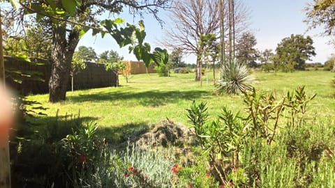 Property building, Garden view