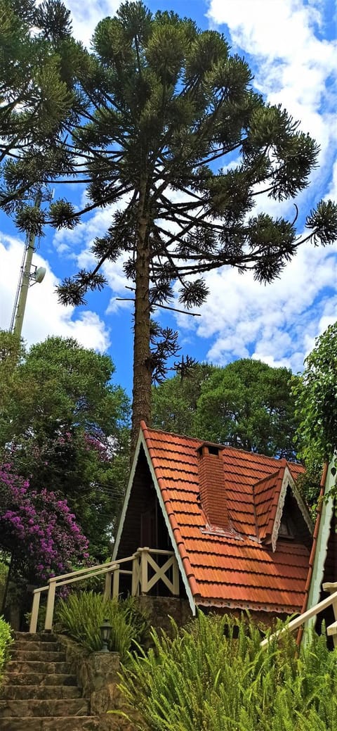 Pousada Perola da Mantiqueira Inn in Monte Verde