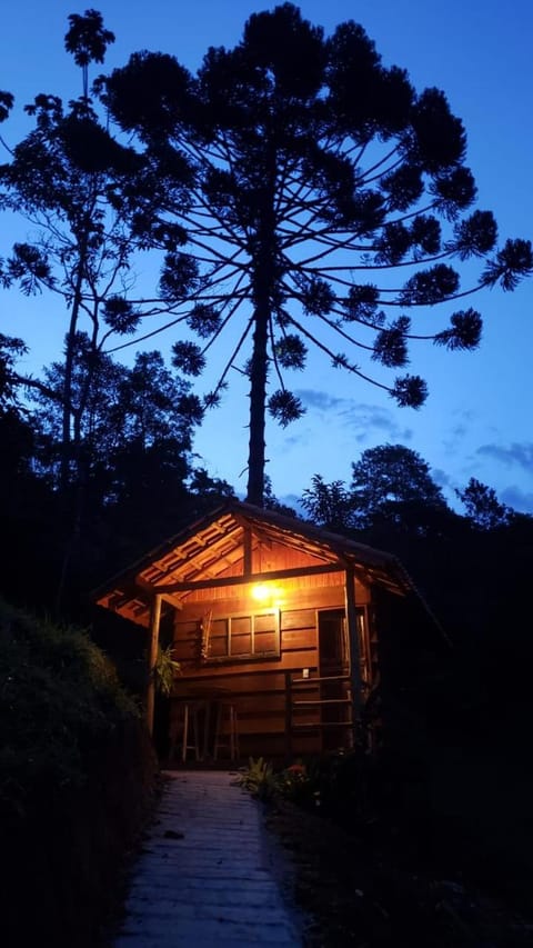 Night, Natural landscape