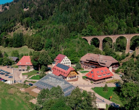 Hotel Hofgut Sternen Hotel in Hinterzarten