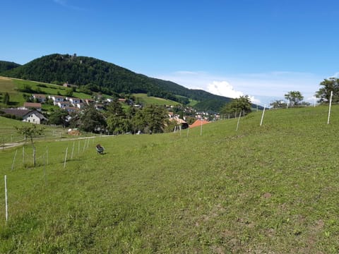 Gislifluh Frey Maya Apartment in Aargau, Switzerland