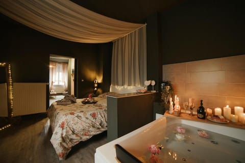 Bliss insolite Jacuzzi privée 5 min centre ville Apartment in Mulhouse