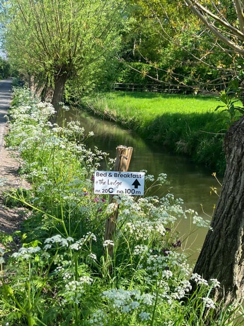 @TheLodge Bed and Breakfast in Utrecht