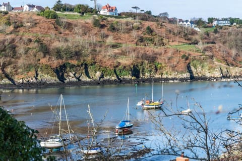 Rock Cottage - 3 Bedroom Holiday Home - Fishguard Maison in Fishguard