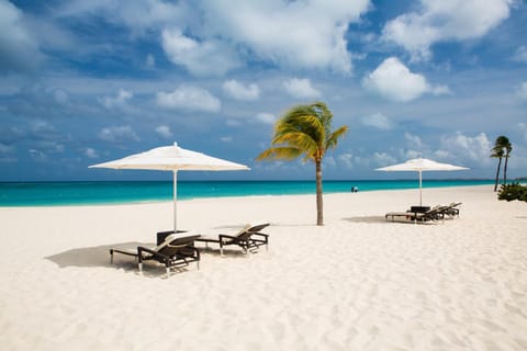 Bucuti & Tara Boutique Beach Resort - Adult Only Resort in Aruba