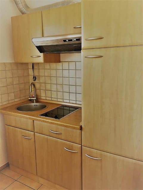 Appartement Joli Apartment in Grassau
