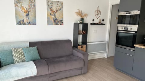 Auron Joli appartement Apartamento in Saint-Étienne-de-Tinée