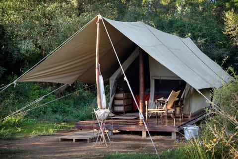 Quatermain's 1920's Safari Camp – Amakhala Game Reserve Luxus-Zelt in Eastern Cape