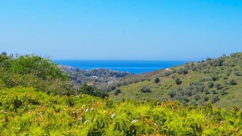 Villa Javier de Frigiliana by Ruralidays Villa in Frigiliana