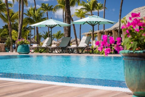 Manchebo Beach Resort and Spa Resort in Aruba