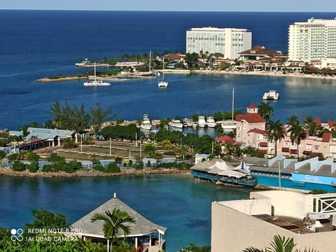 Neighbourhood, Bird's eye view, Sea view