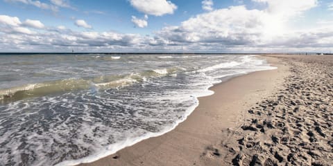 Beach, Beach, Hiking, Seasons