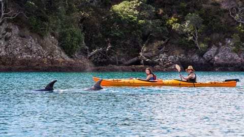 Waiheke Backpackers Hostel Hostel in Auckland Region