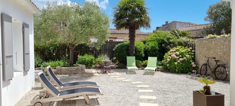 Patio, Garden, Garden view, sunbed