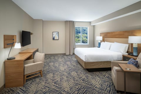 Candlewood Suites - Asheville Downtown, an IHG Hotel Hotel in Asheville