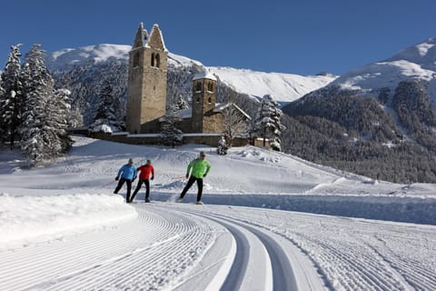 Natural landscape, Winter, Sports