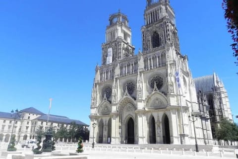 L'Authentique - Le Poirier Apartment in Orléans