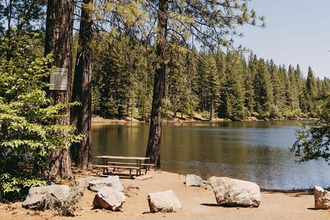 Family Cabin in Blue Lake Springs, Near Town! Cabin in Arnold