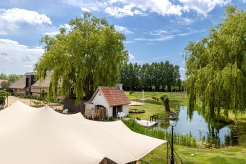 Property building, Garden, Garden, Garden view, Garden view, Swimming pool