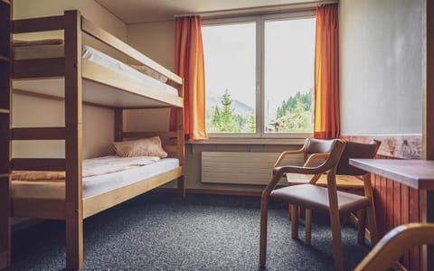 bunk bed