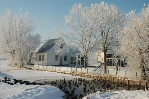 Facade/entrance, Day, Winter