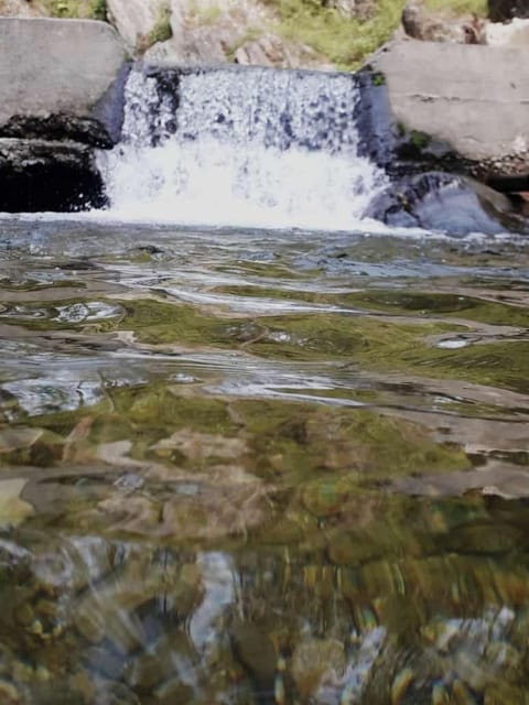 Maa Anand Mayee Guest House Pensão in Uttarakhand