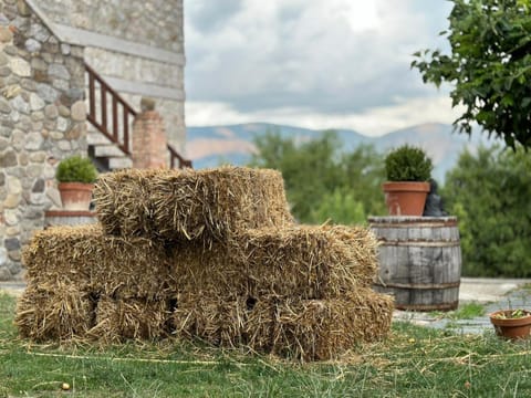 Azienda Agricola Il Querceto Farm Stay in Basilicata