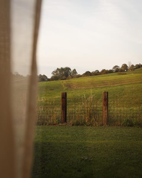 Natural landscape, Garden, Mountain view