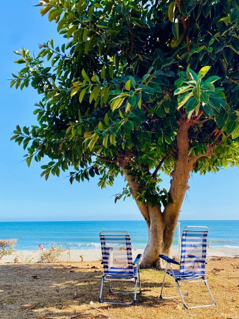 Natural landscape, Beach, Sea view