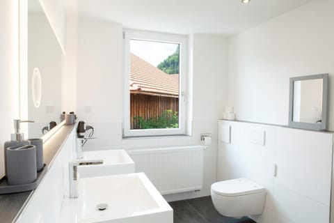 Toilet, Bathroom, bidet