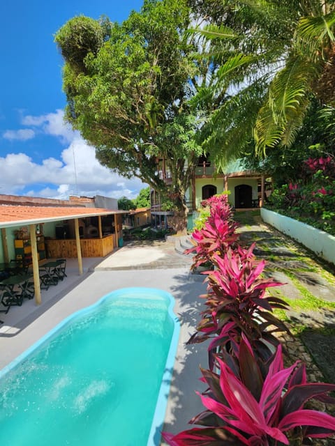 Garden, Pool view, Swimming pool