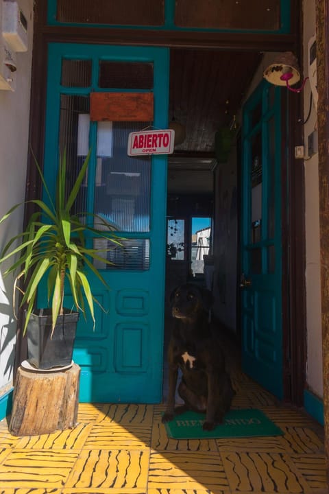 Bichon La Casa Hostal Bed and Breakfast in Pichilemu