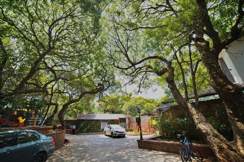 Property building, Garden, Quiet street view