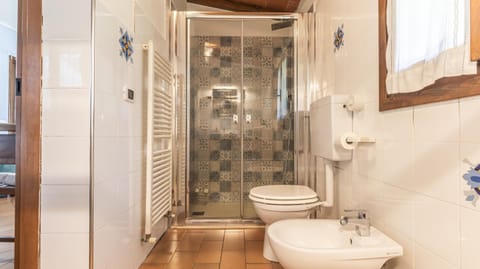 Shower, Toilet, Bathroom, Decorative detail, bidet, heating