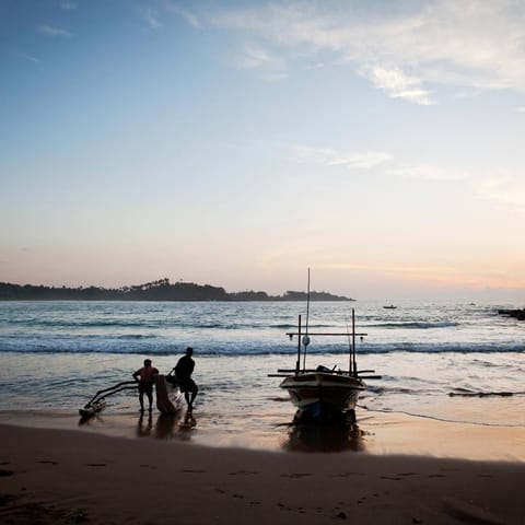 People, Natural landscape, Activities, Fishing, Other, Beach, Sunset