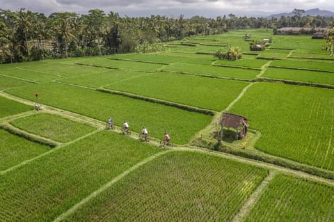 Off site, Natural landscape, Activities, Bird's eye view, Cycling