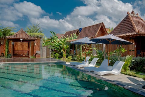 Garden, Garden view, Pool view