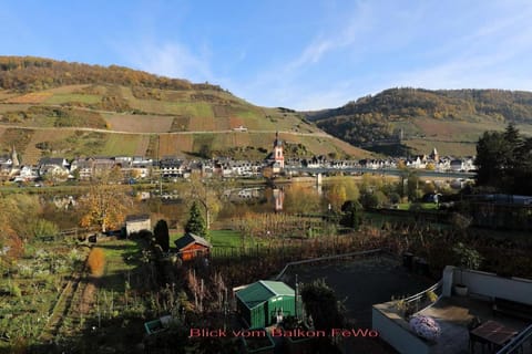 Natural landscape, Garden view