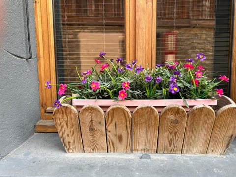 Mountain View Apartment in Morzine Apartment in Montriond