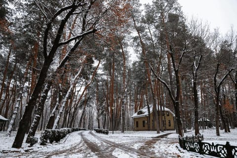 Kohavi Forest Club Resort in Kharkiv Oblast