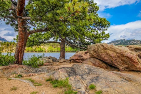 Peaceful Pines in the Rockies Condo in Estes Park