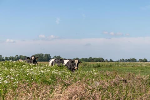 Friesenhof Janssen - Urlaub auf dem Bauernhof Condo in Neuharlingersiel